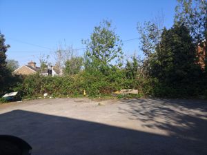 Photo 6- click for photo gallery
